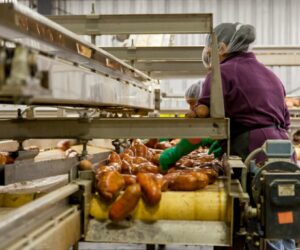 Food and Beverage Industry