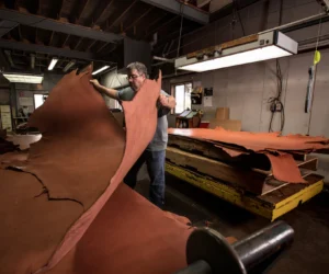 Leather and Tannery Units