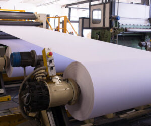 Paper & Pulp