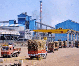 Sugar Industry
